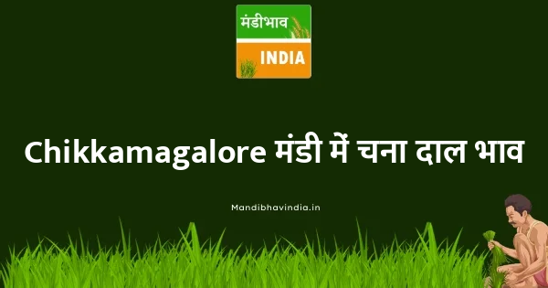 Bengal Gram Dal (Chana Dal) भाव